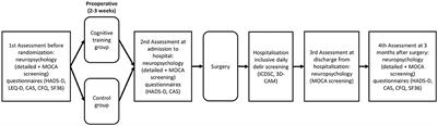 Increasing preoperative cognitive reserve to prevent postoperative delirium and postoperative cognitive decline in cardiac surgical patients (INCORE): Study protocol for a randomized clinical trial on cognitive training